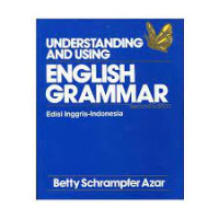 Understanding and using english grammar